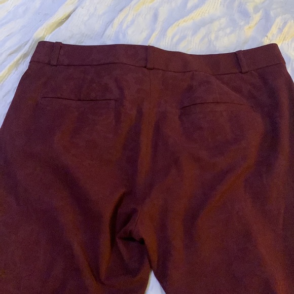 Burgundy, ankle-length dress pants - Picture 5 of 6